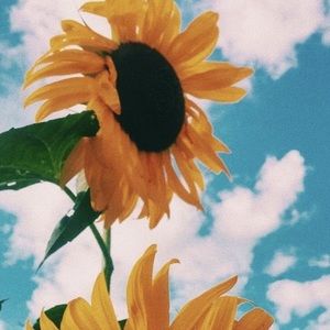 Meet your Posher, Kailey